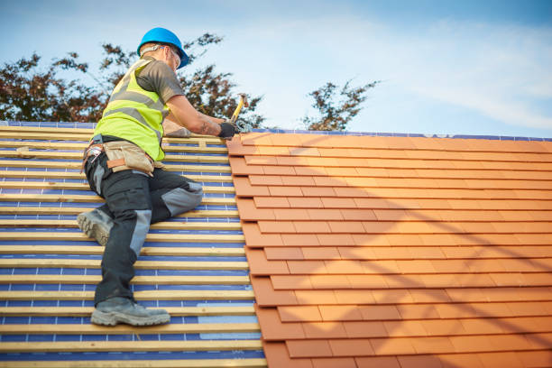 Best Solar Panel Roofing Installation  in Dickson City, PA
